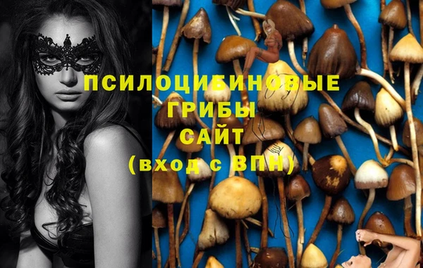 дживик Беломорск