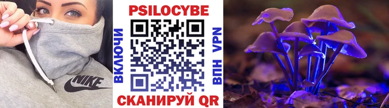 Псилоцибиновые грибы Cubensis  Купить где  Балашов 